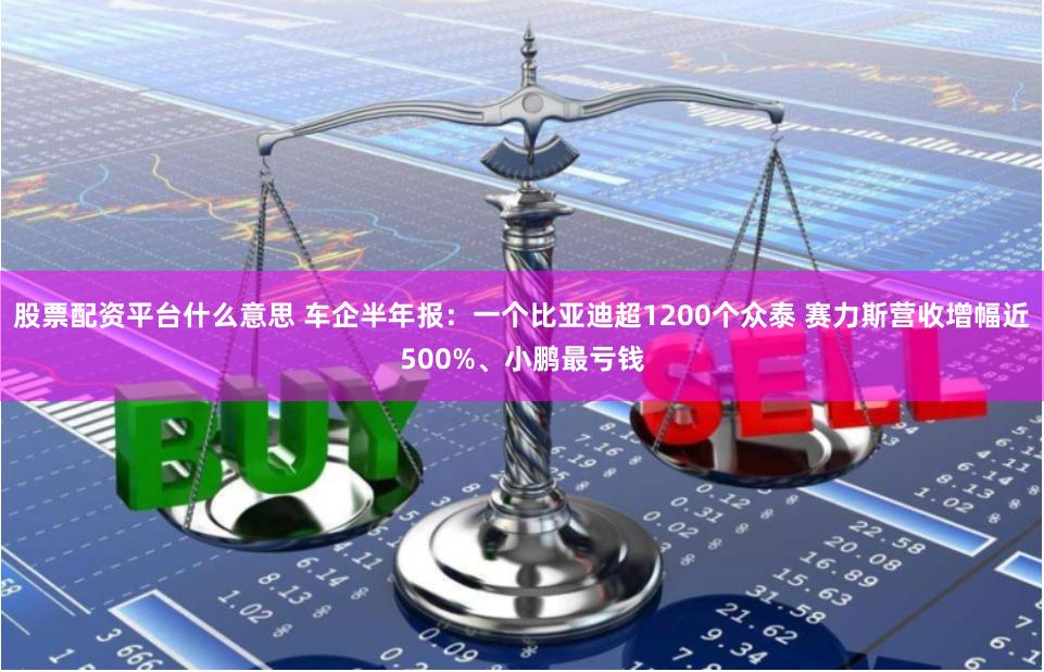 股票配资平台什么意思 车企半年报：一个比亚迪超1200个众泰 赛力斯营收增幅近500%、小鹏最亏钱